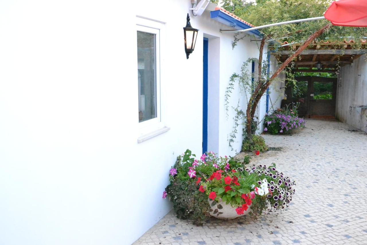 Alquerubim Quinta D'Avo Amelia Bed & Breakfast エクステリア 写真