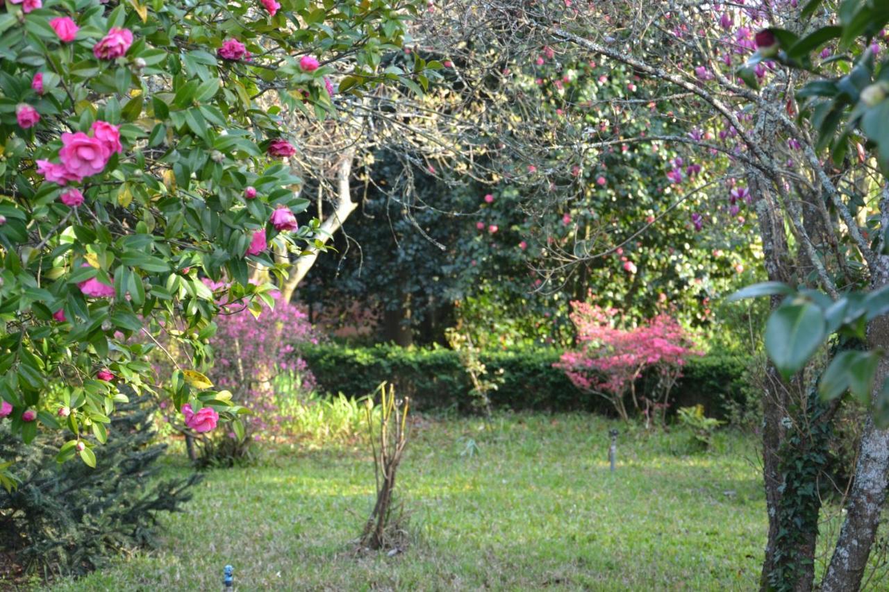 Alquerubim Quinta D'Avo Amelia Bed & Breakfast エクステリア 写真