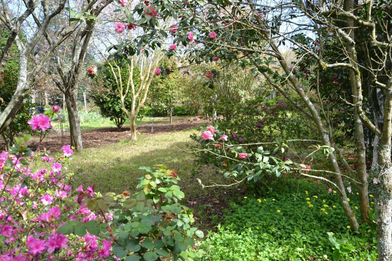 Alquerubim Quinta D'Avo Amelia Bed & Breakfast エクステリア 写真