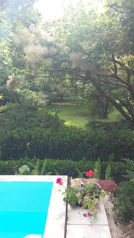 Alquerubim Quinta D'Avo Amelia Bed & Breakfast エクステリア 写真