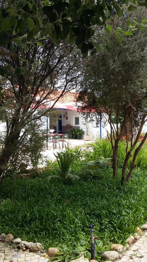 Alquerubim Quinta D'Avo Amelia Bed & Breakfast エクステリア 写真