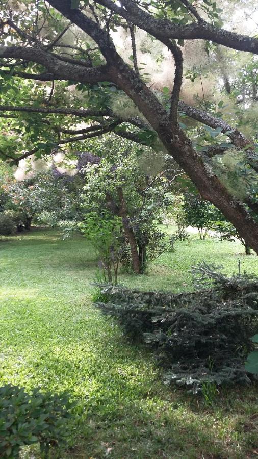 Alquerubim Quinta D'Avo Amelia Bed & Breakfast エクステリア 写真