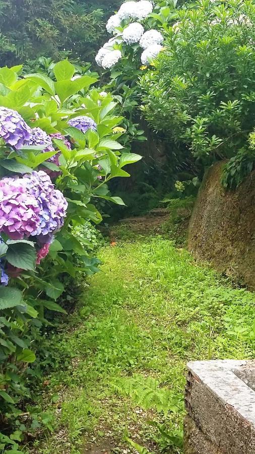 Alquerubim Quinta D'Avo Amelia Bed & Breakfast エクステリア 写真