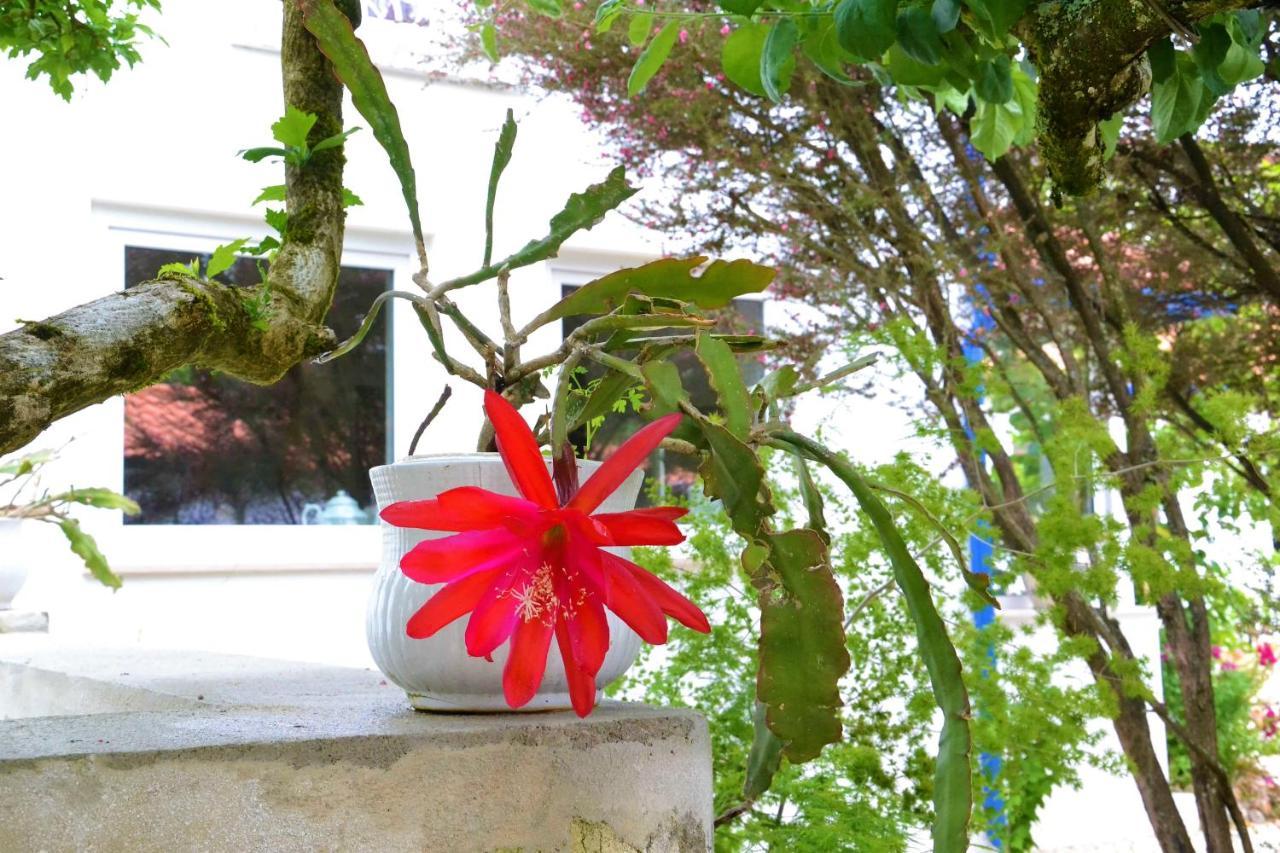 Alquerubim Quinta D'Avo Amelia Bed & Breakfast エクステリア 写真