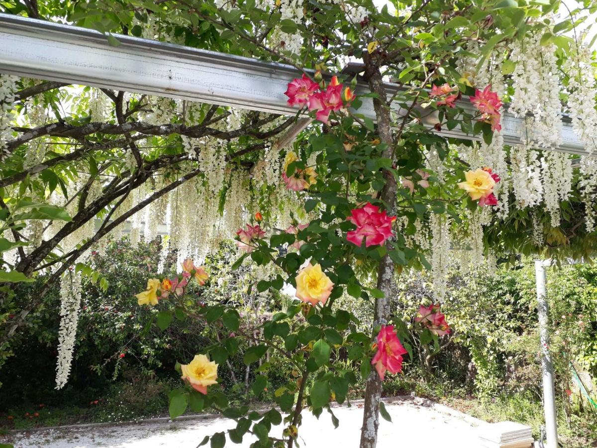 Alquerubim Quinta D'Avo Amelia Bed & Breakfast エクステリア 写真