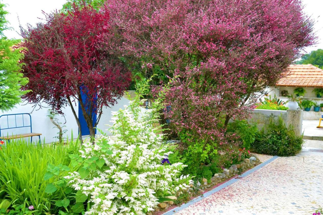 Alquerubim Quinta D'Avo Amelia Bed & Breakfast エクステリア 写真