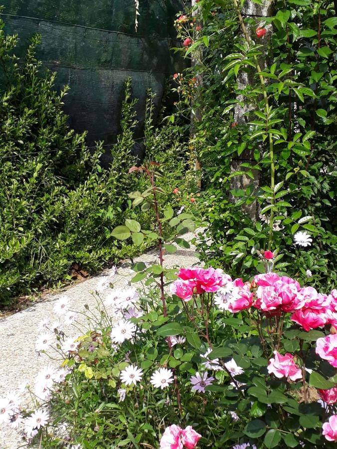 Alquerubim Quinta D'Avo Amelia Bed & Breakfast エクステリア 写真