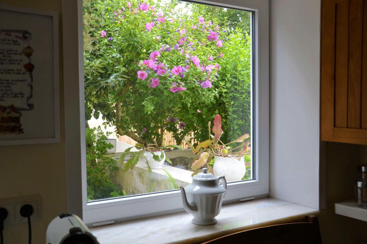 Alquerubim Quinta D'Avo Amelia Bed & Breakfast エクステリア 写真