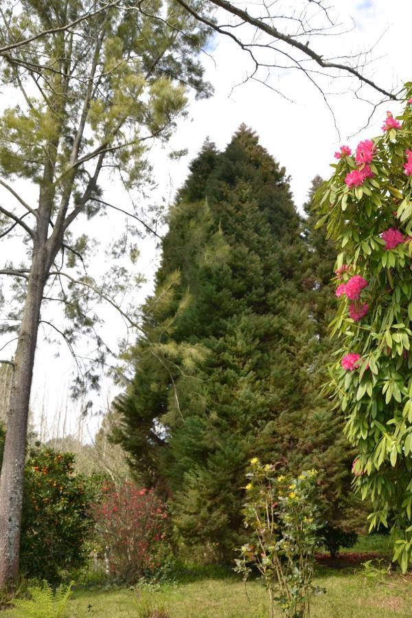 Alquerubim Quinta D'Avo Amelia Bed & Breakfast エクステリア 写真
