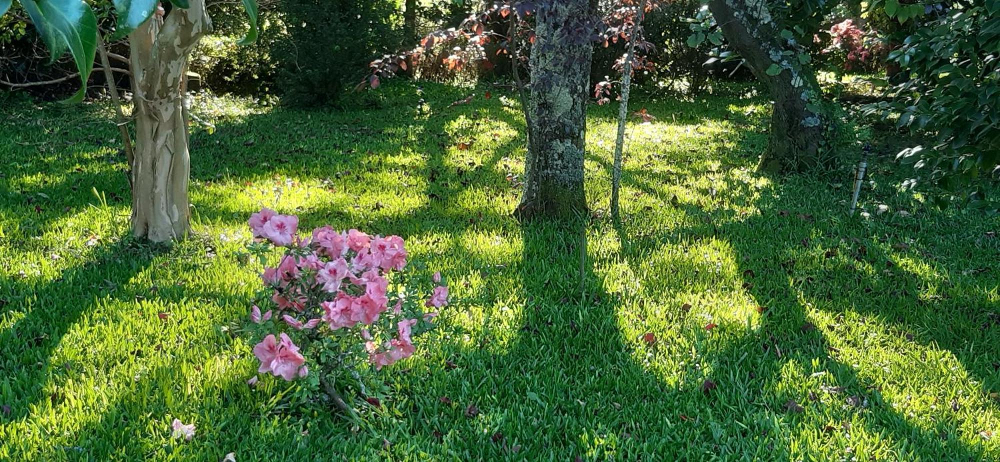 Alquerubim Quinta D'Avo Amelia Bed & Breakfast エクステリア 写真